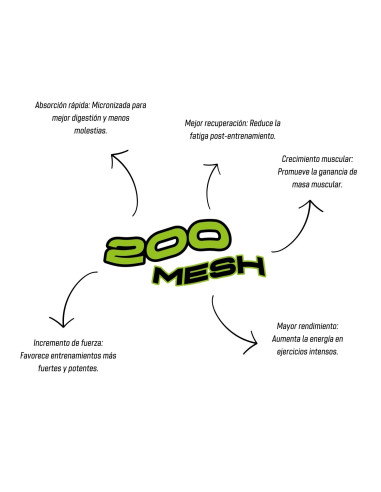 Creatine Monohydrate 200 poudre de maille - Neutra - 500g