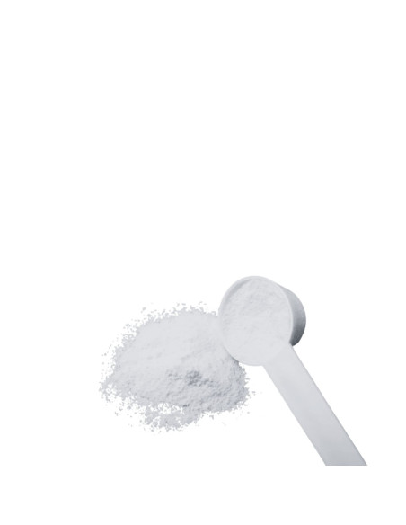 Creatina Monohidrato 200 Mesh en polvo - Neutra - 500g
