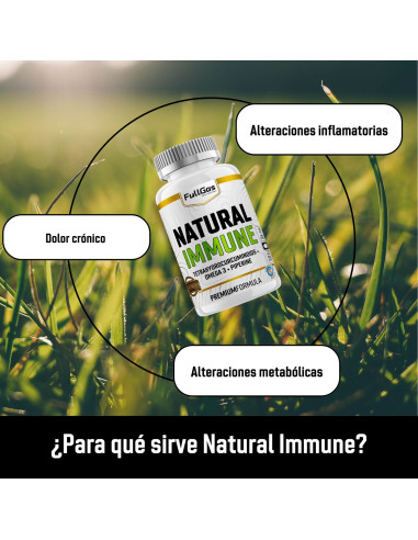3x Natural Immune (Omega-3 + Tetrahidrocurcuminoides + Piperina) - 120 perlas