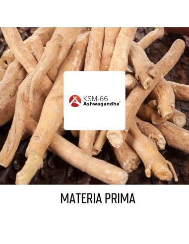 Ashwagandha (KSM-66®) - Cápsulas - 30 tomas