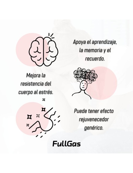 Ashwagandha (KSM-66®) - Cápsulas - 30 tomas