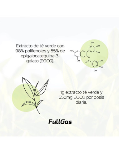 Extrait de thé vert (55% EGCG) - 60 capsules