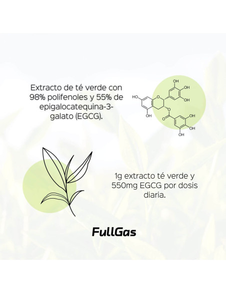 Extrait de thé vert (55% EGCG) - 60 capsules
