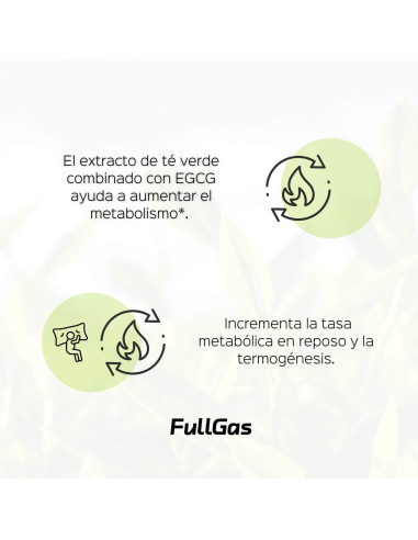 Extracto de Té Verde (55% EGCG) - 60 cápsulas