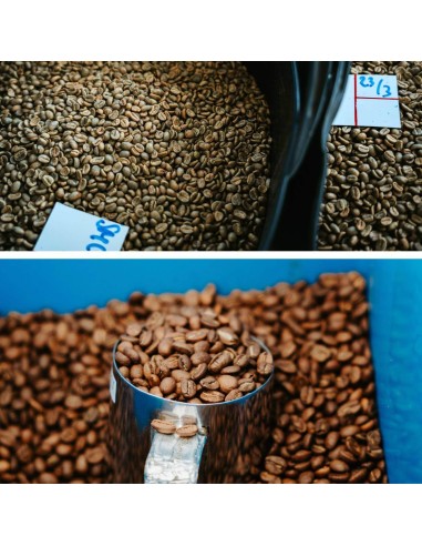 Café spécialisé - Misco - Colombie - 250g