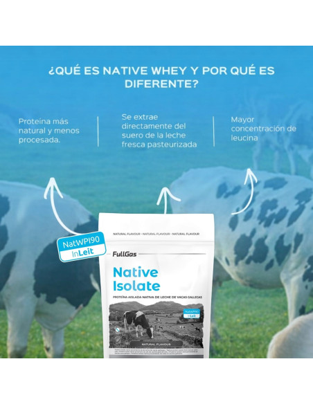Isolat indigène (natif de lactosérum) - Sans édulcorant - Naturel - 454g