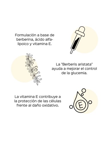 Glucosense (avec Berberina *) - Capsules - 30 tomas