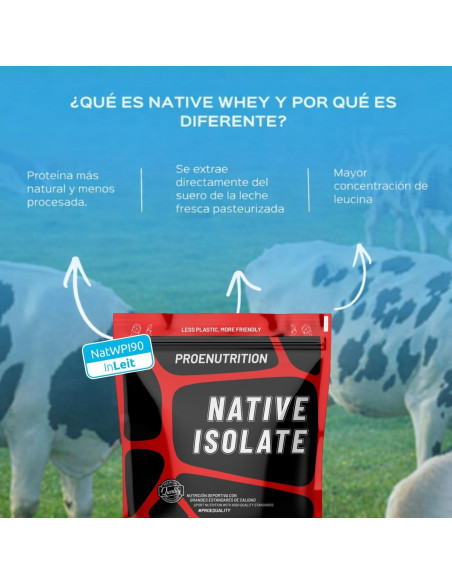 Isolat natif (lactosérum) - Sans édulcorant - Chocolat noir - 454g