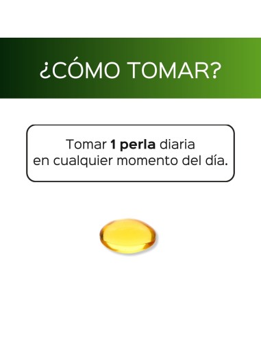 Vegan Omega 3 (timbre IAOS ™) - Pearls - 60 tomas