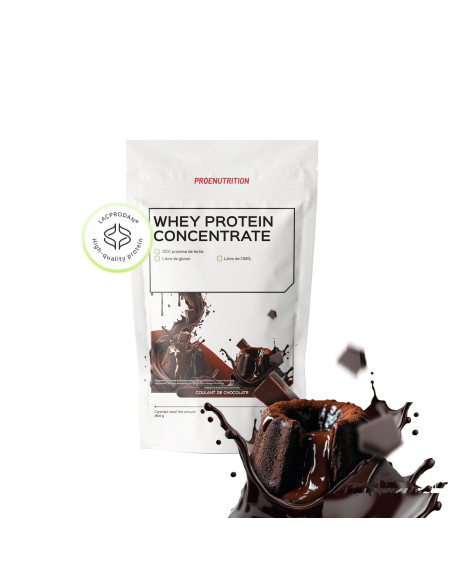 100% De protéines de lactosérum (concentré) - Chocolat coulissant - 454g