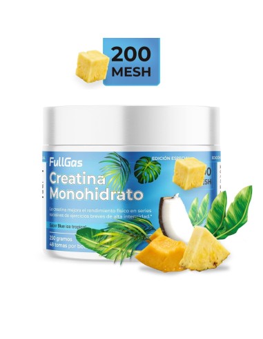 Créatine monohydrate de 200 mailles en poudre - Blue Ice Tropical - 250g