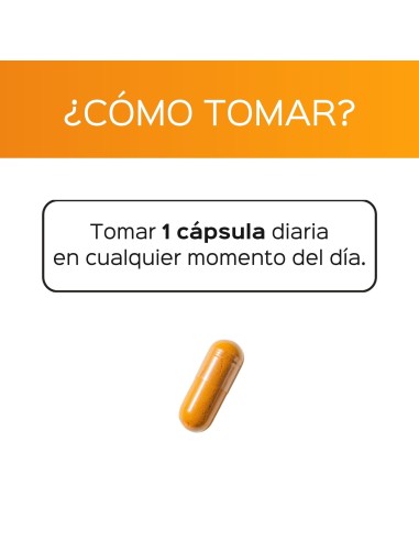 Curcuma avec poivre noir (Bioperine®) - Capsules - 60 coups