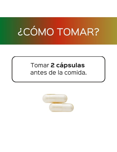 Megaflora (probiotique) | 2B UFC avec une survie bactérienne de 90%