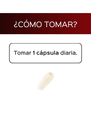 Levopain (PEA by Levagen+®) - Fórmula antioxidante* - Cápsulas - 30 tomas