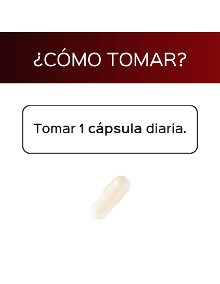 Levopain (PEA by Levagen+®) - Fórmula antioxidante* - Cápsulas - 30 tomas