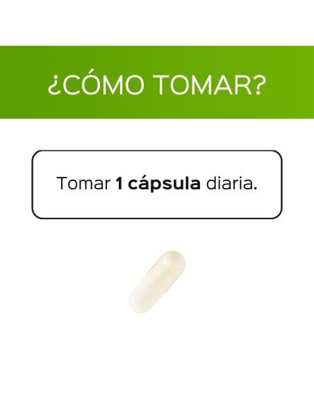 Vitamina B12 (Cianocobalamina 1000µg) - 60 cápsulas