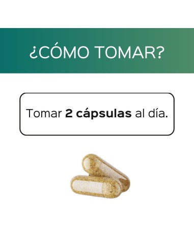 3x ThyroHealth (Pack ahorro 3 meses)